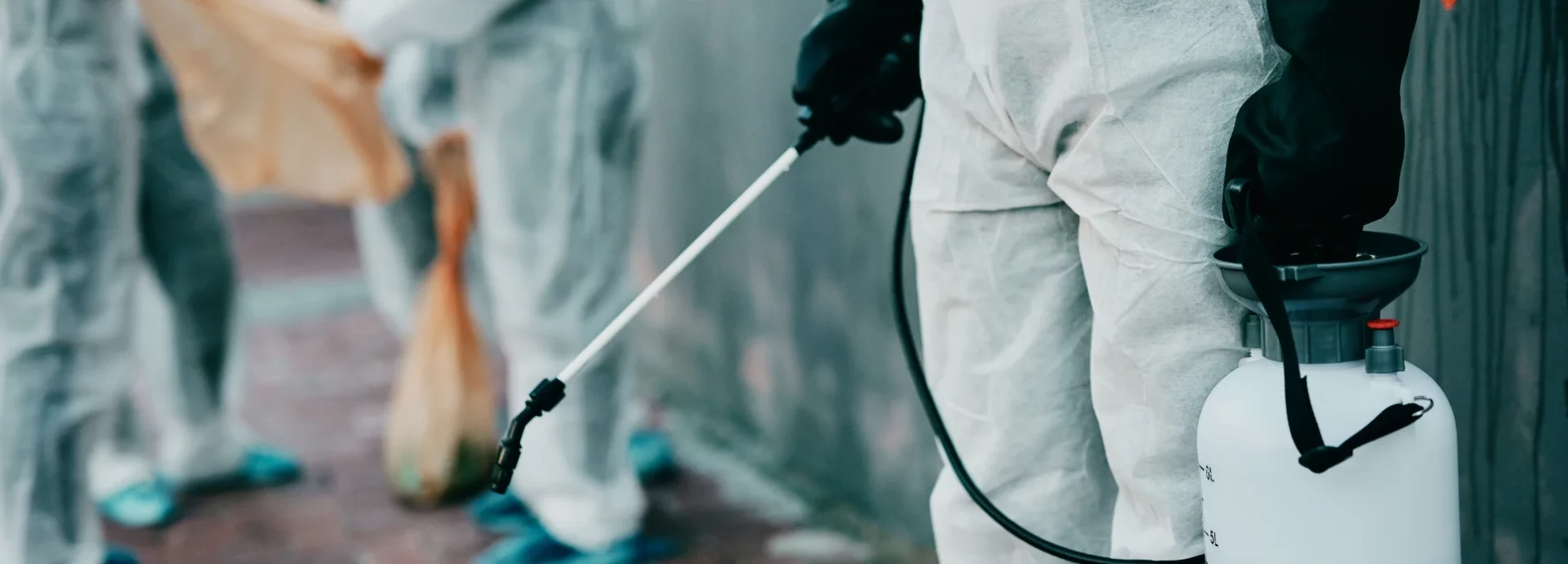 HYGIFORCE