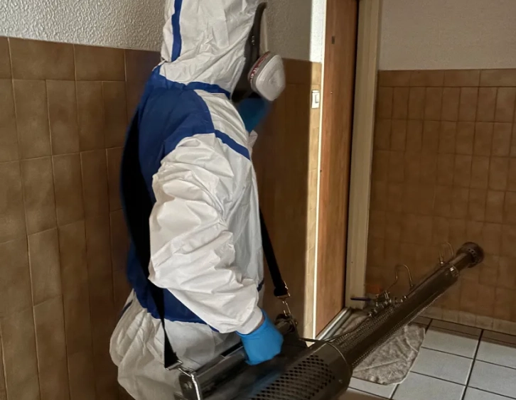 HYGIFORCE